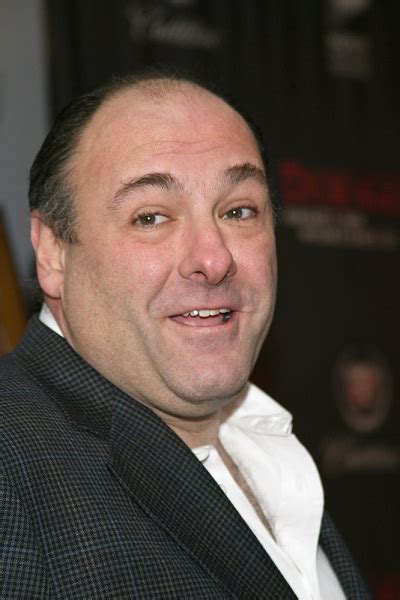 james gandolfini ethnicity.